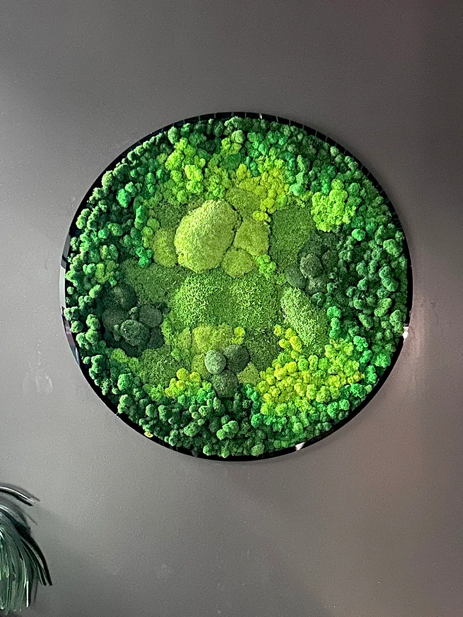 круглое панно из стабилизированного мха для массажного салона.