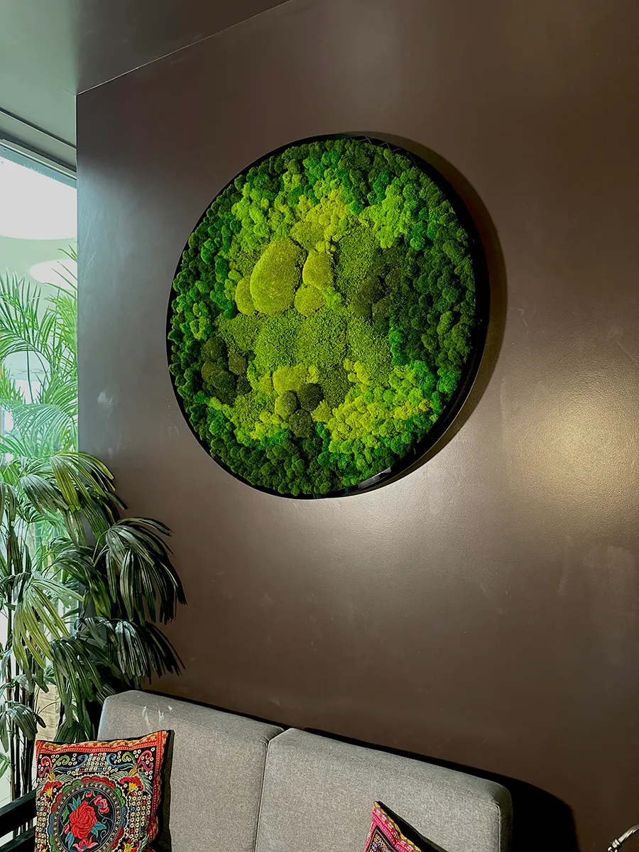 круглое панно из стабилизированного мха для офиса.