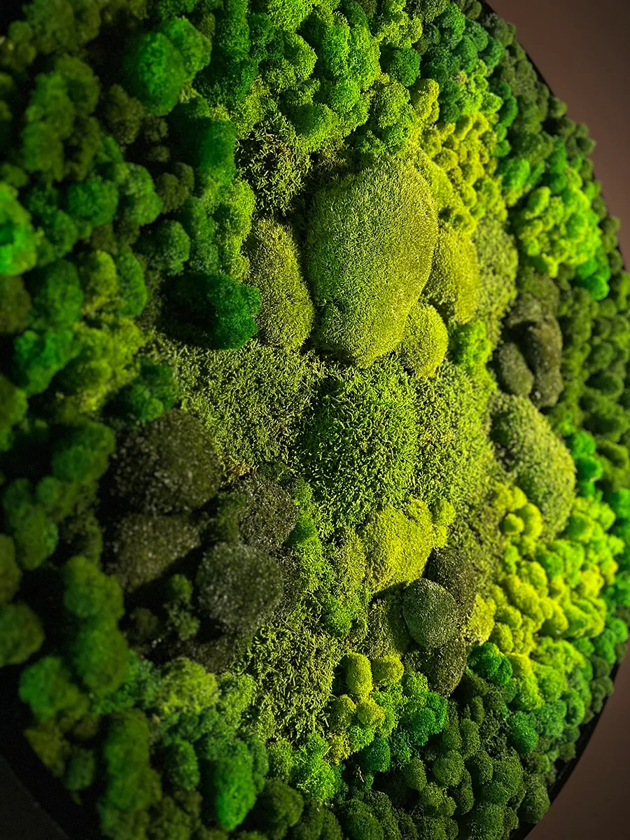 круглое панно из стабилизированного мха для офиса.